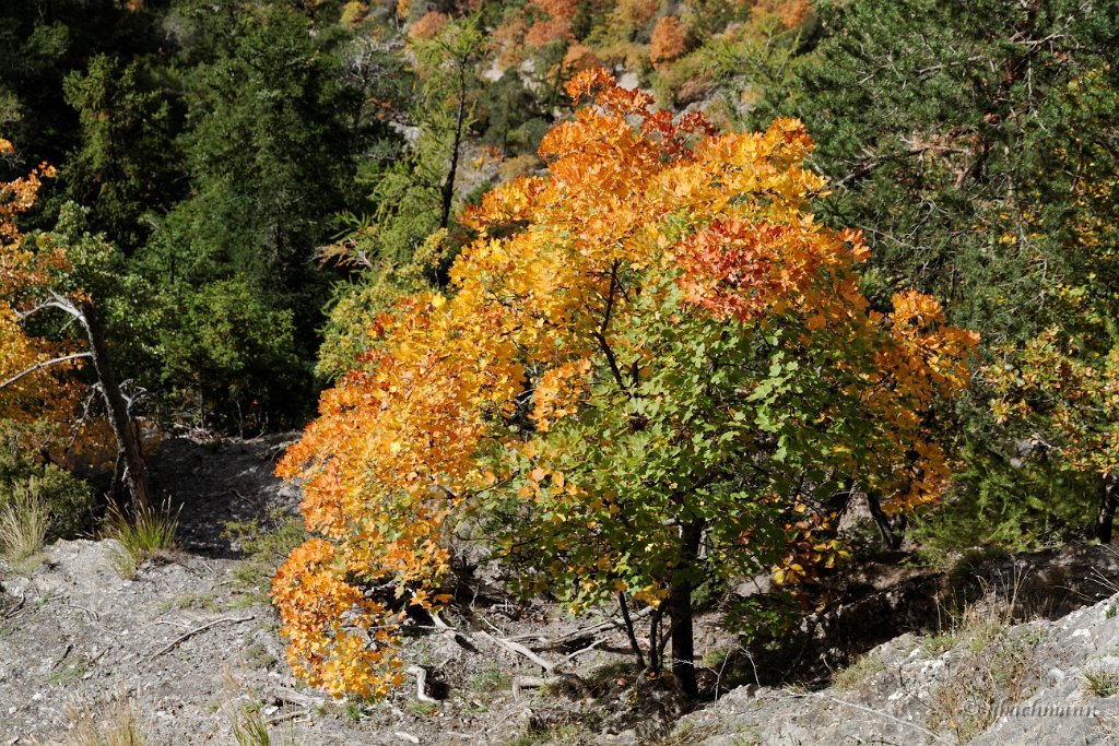 20101009_226
